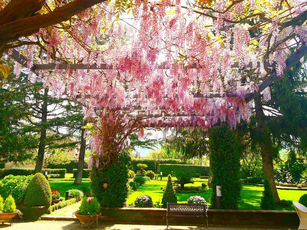 Il Casale Di Riardo Luxury B&B 外观 照片