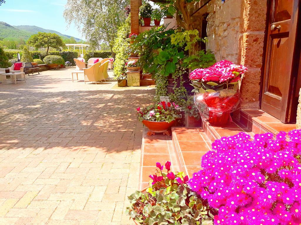Il Casale Di Riardo Luxury B&B 外观 照片