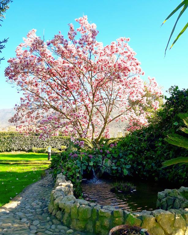 Il Casale Di Riardo Luxury B&B 外观 照片